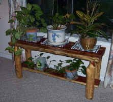 Window table with plants.jpg (100228 bytes)