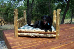 Yawning dog on back of porch.jpg (72310 bytes)